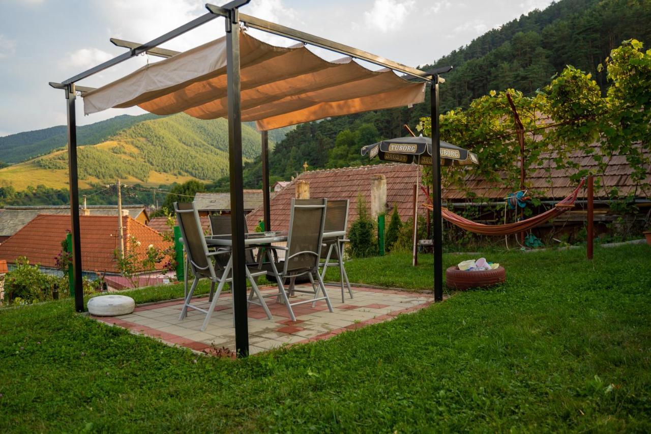 Apartament Panoramic La Casa In Comuna Răşinari Buitenkant foto