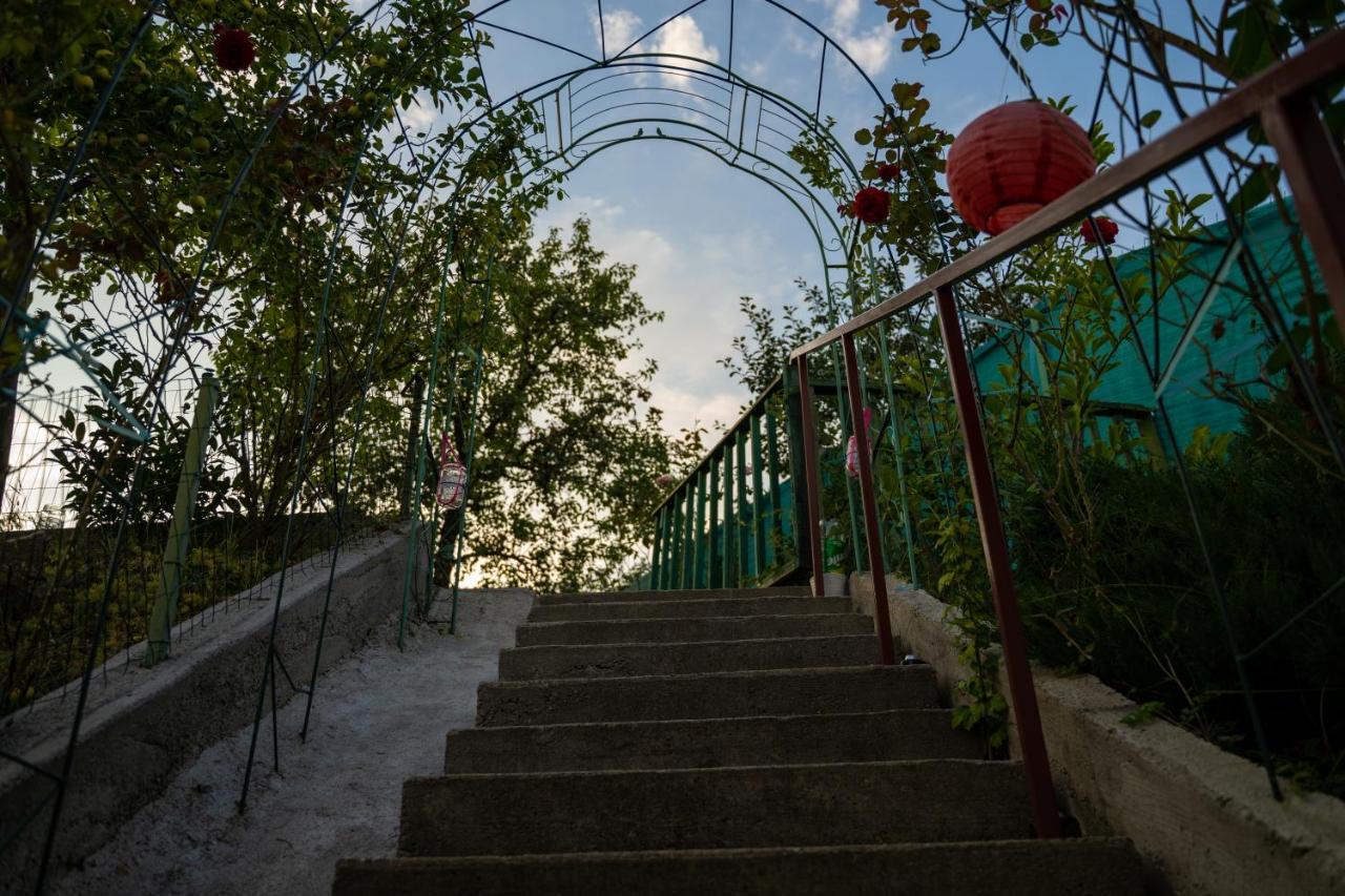 Apartament Panoramic La Casa In Comuna Răşinari Buitenkant foto