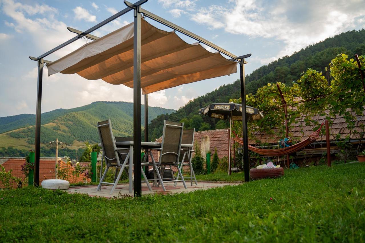 Apartament Panoramic La Casa In Comuna Răşinari Buitenkant foto