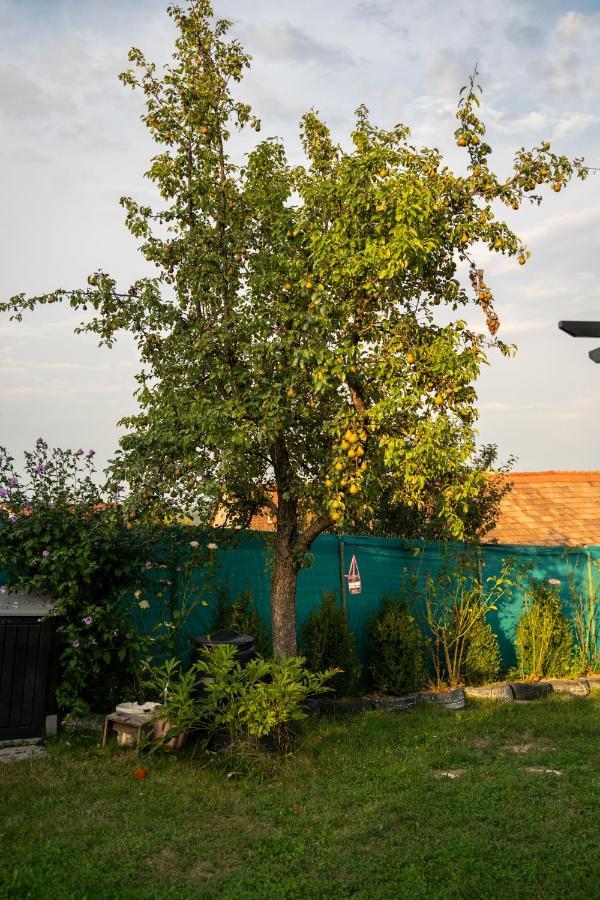 Apartament Panoramic La Casa In Comuna Răşinari Buitenkant foto