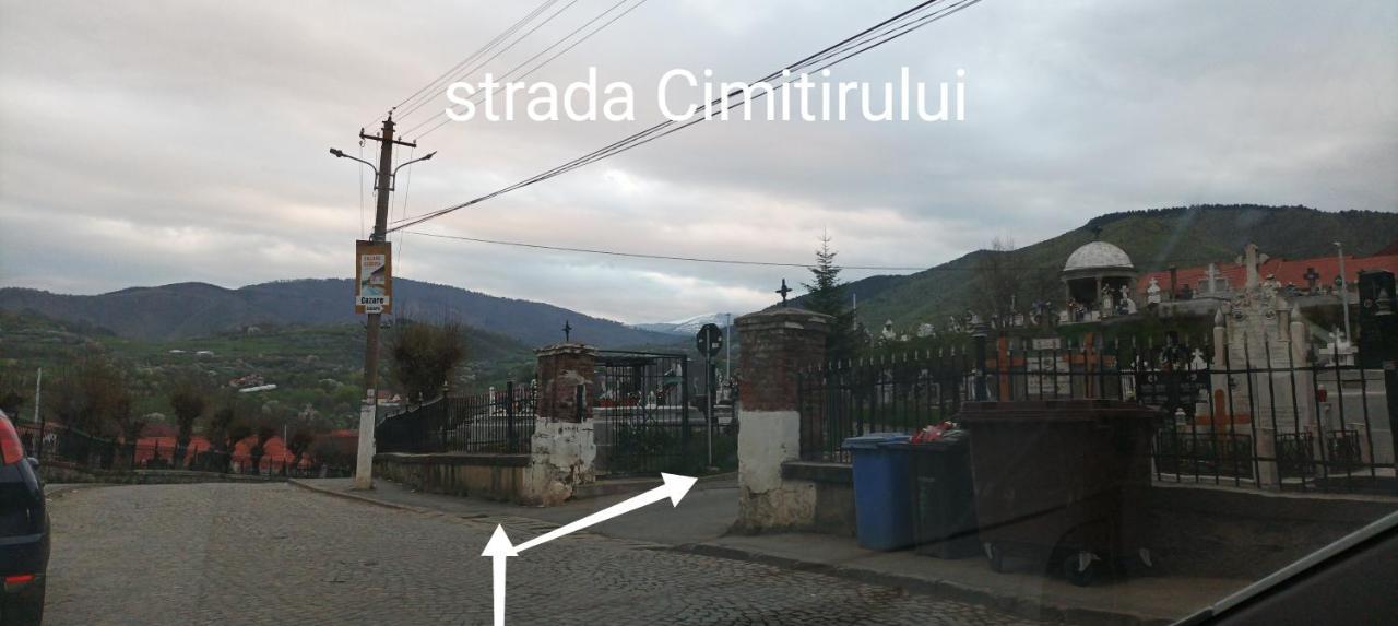 Apartament Panoramic La Casa In Comuna Răşinari Buitenkant foto