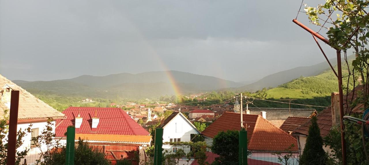 Apartament Panoramic La Casa In Comuna Răşinari Buitenkant foto